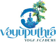 vys footer logo